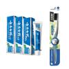 Yunnan Baiyao Wintergreen Toothpaste & Toothbrush Set