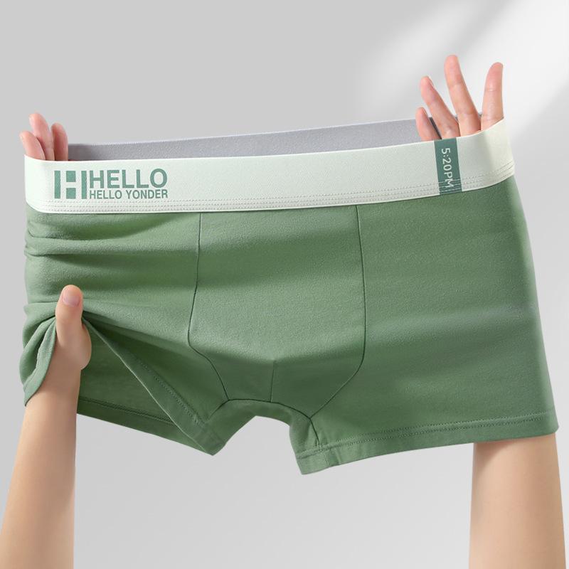 Plus Size Men's Spring and Summer Pure Cotton Antibacterial and Breathable Youth Briefs