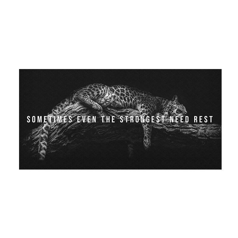 

Леопардовое фото, мотивационная цитата, настенная живопись на холсте, постеры с животными и принты, вдохновляющая картина для декора офисной комнаты 20x40 cm No Frame