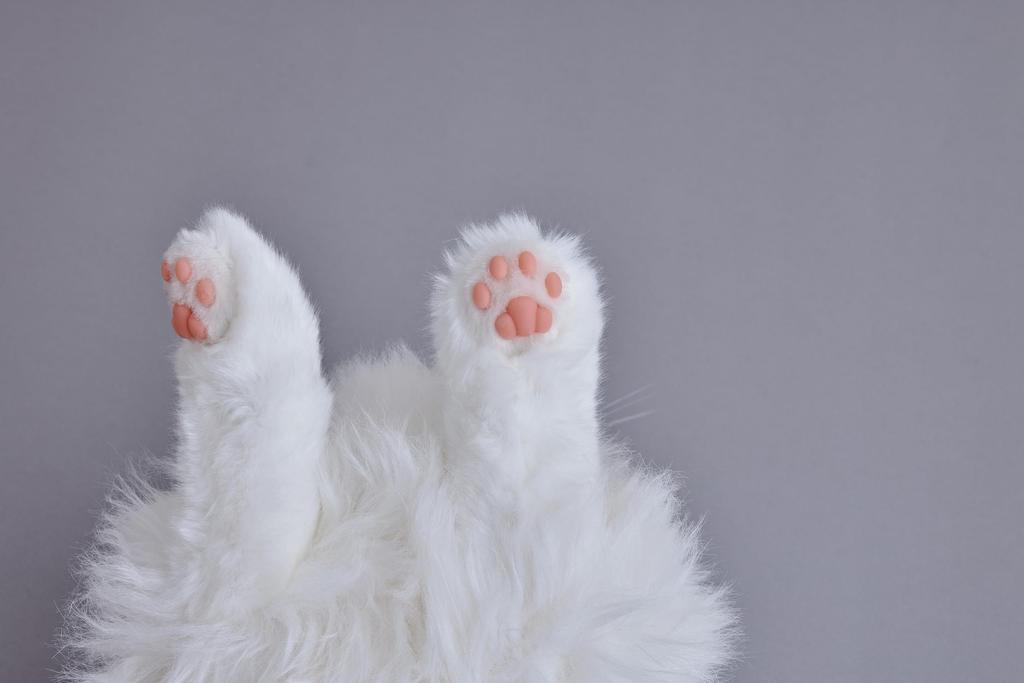 SEGA FAVE KIMIT Ragdoll (Brown) Pet Robot Cat