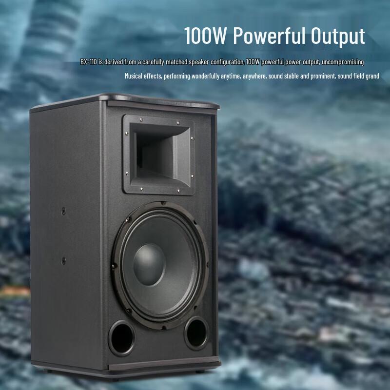 SHILE OK555C+BX110 10-inch Conference Amplifier Speaker Set