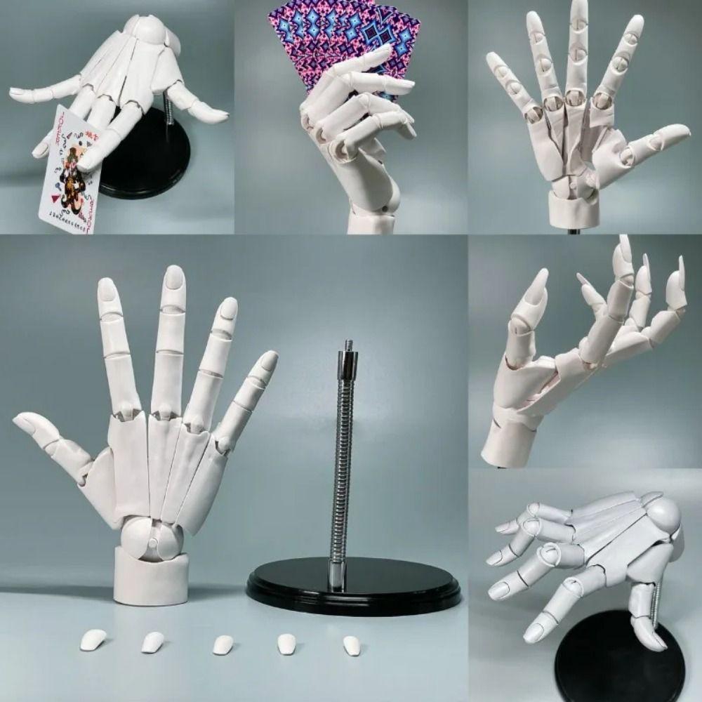 Verstellbares Gelenk-Handmodell Künstler-Schaufensterpuppe Handfigur Simulation Skizzieren Malen