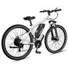 Rincc RN50 Lauko važiavimo elektrinis dviratis suaugusiems 29 colių siauros padangos 750W variklis 48V15AH baterija Miesto kelionėms 50KM/H didžiausias greitis E-bike