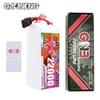 GNB High-Performance LiPo Drone Battery