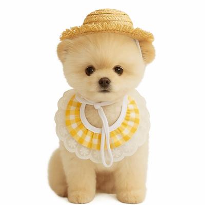 Costume d'Oie de Porche Simple Créatif Costume d'Oie Fait Main Rigolo Corde Coupe-Vent Chapeau d'Oie en Paille Écharpe Ornements pour Animaux de Compagnie