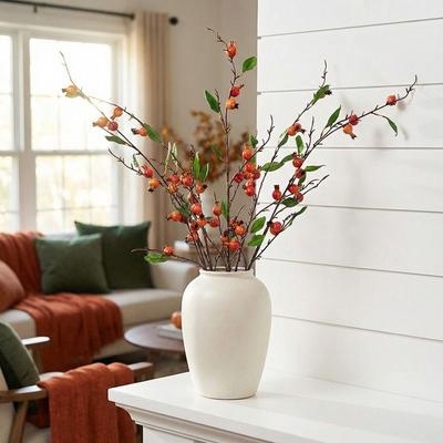 Long Branch Artificial Pomegranate Plastic 10-Fruit Pomegranate Fruit Branch Foam Berry Handmade Fake Plants