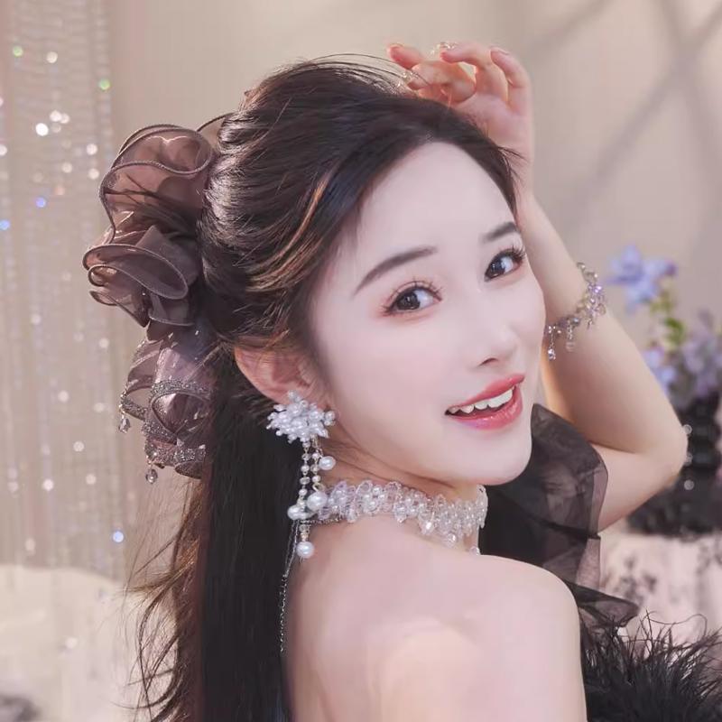 French Elegant  Butterfly Clip Korean Temperament Mesh Ponytail Clip Hair Accessories