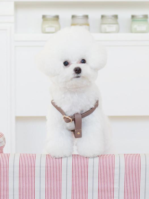 MAISON DE MIU Running Mate Harness_Brown GOLD