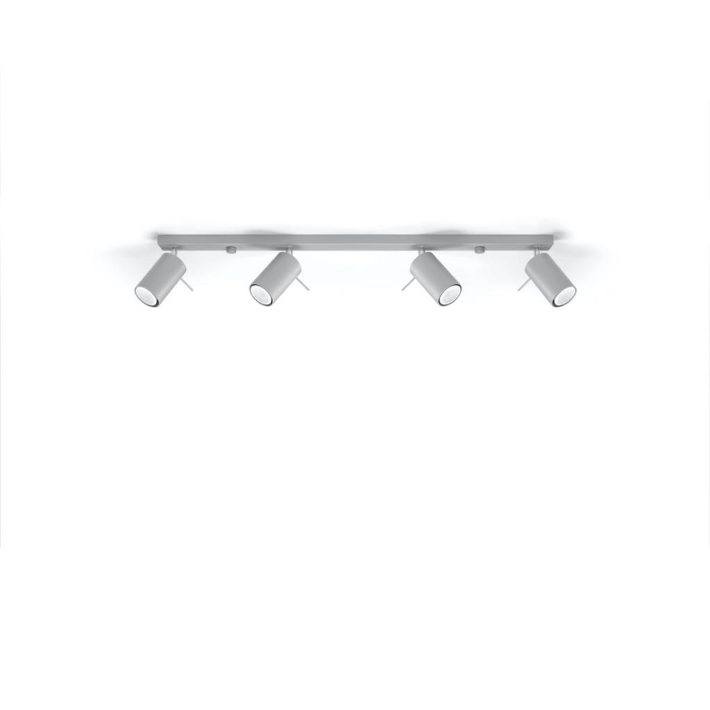 Ring Ceiling Lamp 4L Gray