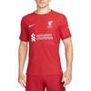 Men's Nike Alphabet Printing Short Sleeve Soccer/Football Jersey 2022/23 Season Liverpool Player Edition Deep Red DJ7647-609