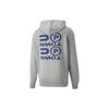 Puma Graphic Print Hooded Sweatshirt Unisex Sweatshirts Gray 536753-04
