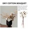1Set Natural Dried Cotton Flower Branch White Cotton Branch Picks DIY Artificial Flower Bouquet lliving room ornament home deco