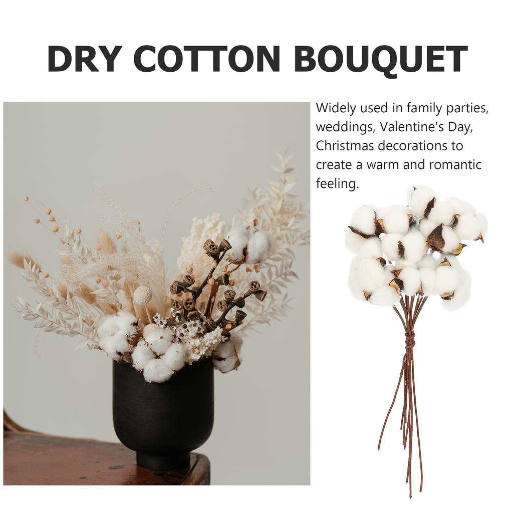 1Set Natural Dried Cotton Flower Branch White Cotton Branch Picks DIY Artificial Flower Bouquet lliving room ornament home deco