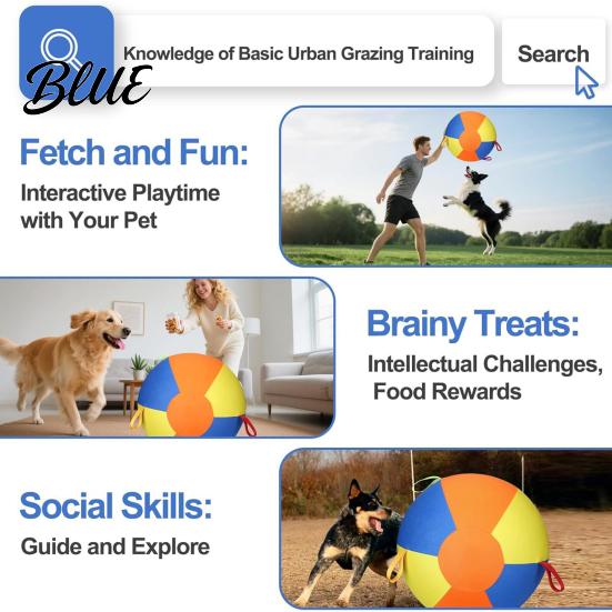 Interactive Dog Ball Herding for Dogs Calming with Cover Handle Inflatable Training Anti-burst Toy Large Breeds Small Medium Active Play Exercise