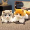 New Animal Doll Cute Cat Holding Pillow On The Bed Holding Doll Sleeping with Doll Plush Toy Birthday Gift