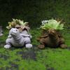 Cute Turtle Succulent Planter Resin Craft Mini Garden Decor Animal Pottery