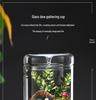Dew Collection Mini Ecosystem: Moss Terrarium Glass Cover Decor