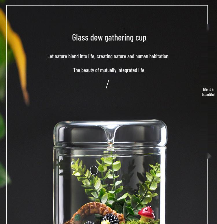 Dew Collection Mini Ecosystem: Moss Terrarium Glass Cover Decor
