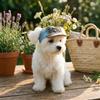 Adjustable Dog Visor Hats Denim Cap Puppy Baseball Cap Pet Sun Protection Hats  Summer Season