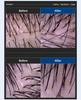 DASHU Daily Milk Thistle Bluebiome Scalp Shampoo for Oily & Sensitive Scalp 500ml