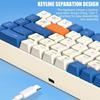 Compactly Mechanical Keyboard 68Keys Wire Keyboard with LED Backlighting and Durability Build Quality High Performances