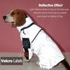 Mono reflectante para perros, impermeable, protector solar, ropa para exteriores, chaqueta para perros pequeños, medianos y grandes, suministros para mascota