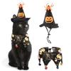 Halloween Cat Costume Set Witch Hat And Collar With Skull And Spider Web Design Pet Cloak Outfit Accessories Party Photo Props