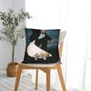Walter White Meme Skateboard Pillow Case  Print Pillow Cover Morden Pillowcases For Living Room Chair