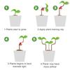 Plant Training Clips 40Pcs/set Flexible Reuseable Plants Flower Training Bender For Garden Flowers Fruits Planting