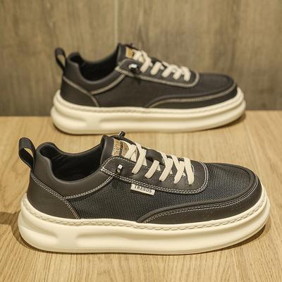 Men's Shoes 2025 New Summer Breathable Internet Celebrity Explosion White Shoes Youth Versatile Sports and Leisure Canvas Board Shoes
