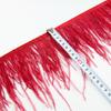 1 Meter Ribbon Tassel Natural Ostrich Feathers Sewing Decoration 10-15cm Wide Apparel Fabric Feather Plumes Ribbon Selvage