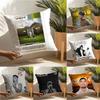 Latin R&B Rapper R-Rels B 2 Pillow Case Linen Pillow Case Sofa Home Decor Cushion Cover Cushion Cove