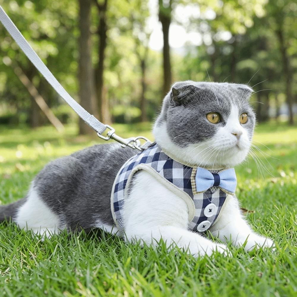 Adjustable Strap Cat Harness Set Adjustable Cat Leash Kitten Daily Activity