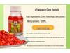 Western Style VB Sweet Corn Grain Fishing Hook Bait - Ideal for Grass Carp and Other Fish, Small Bottle