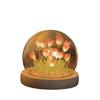 Tulip Handmade DIY Atmosphere Lamp - Desktop Night Light Gift for Girlfriend or Student