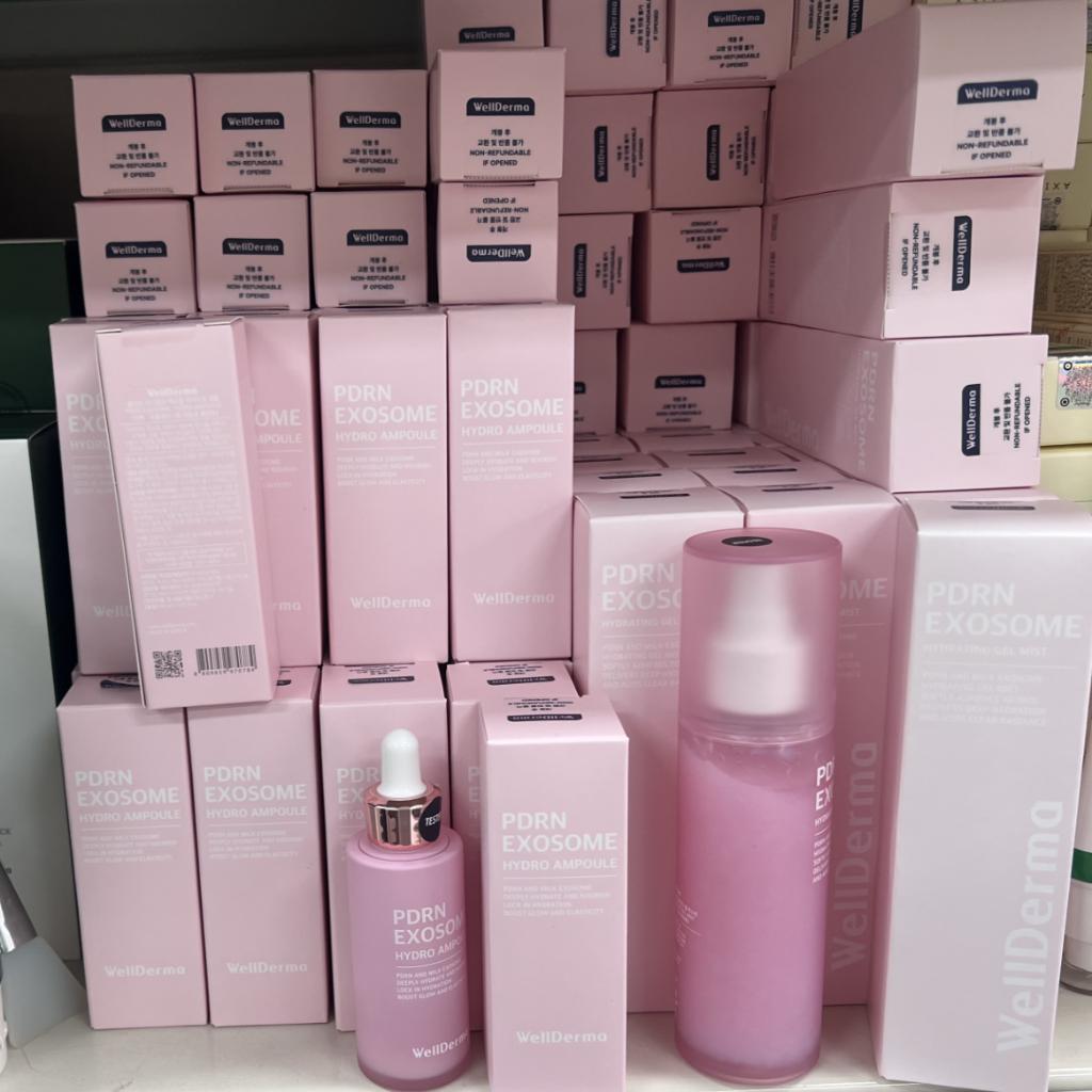 [WellDerma] PDRN Exosom Hydro Ampulle 30ml Feuchtigkeitsspray 100ml