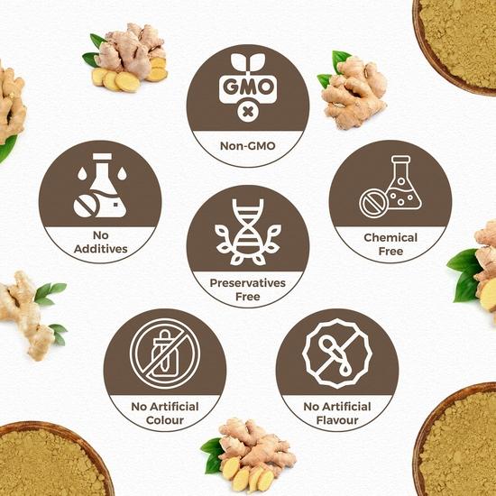 CARMEL ORGANICS Ginger Dried Root Powder (100 Grams)| Zingiber officinale | NON-GMO | Dry Sonth/Adrak Powder for Cooking and Health