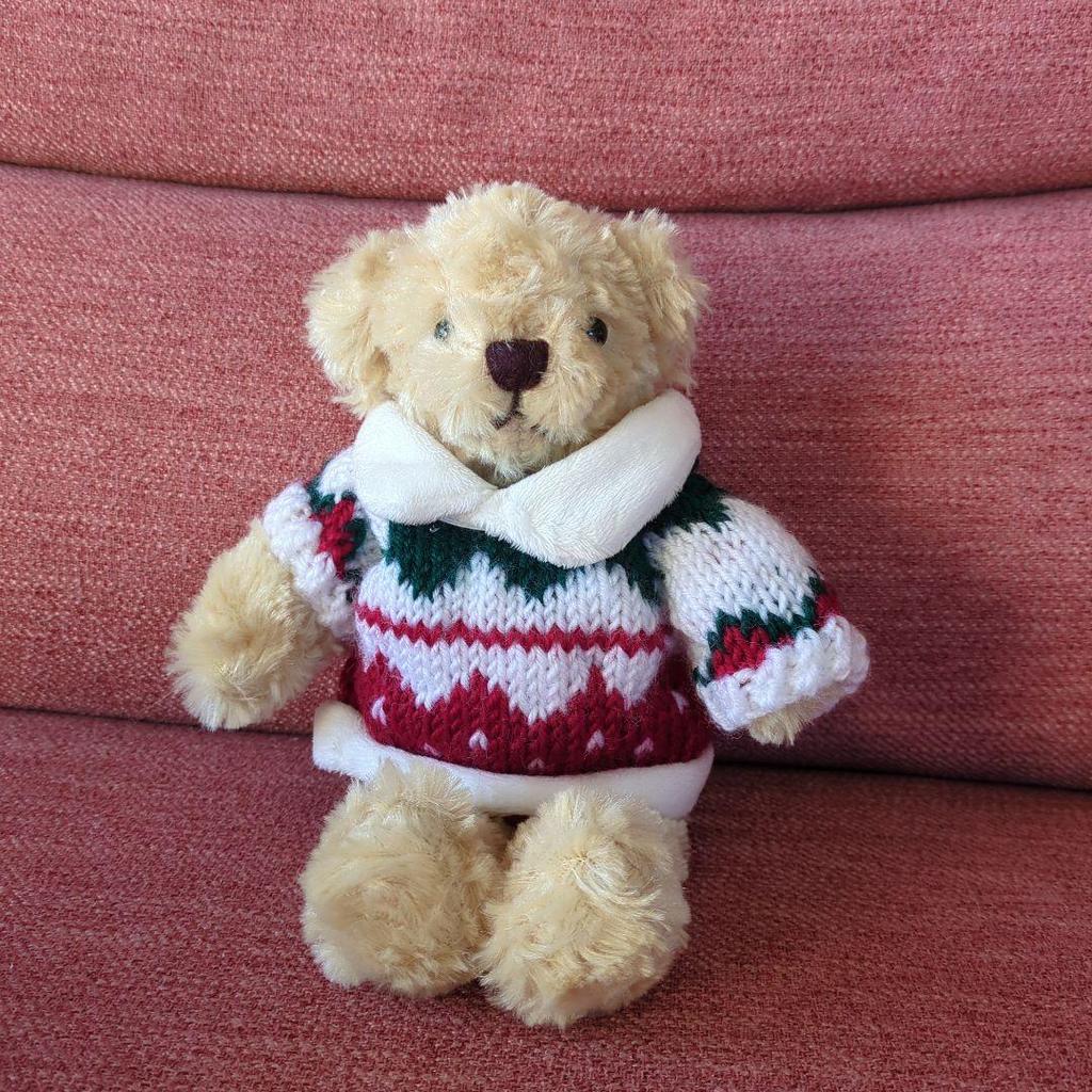 [USED] DreamingBears teddy bear with sweater