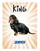 King Dachshund Plaque - 20x28 Cm