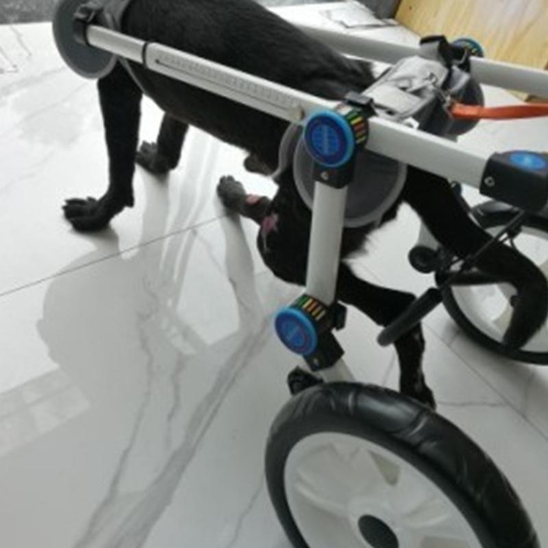 Dog Wheelchair For Hind Leg Rehabilitation