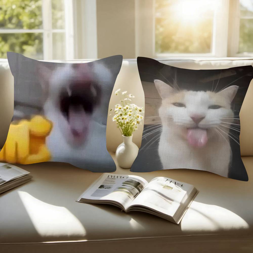 Funny Cat MMeme  Personalized Pillow Cover Kids Bedroom Wild Party Decor Pillowcase Kid Birthday Shower Gift