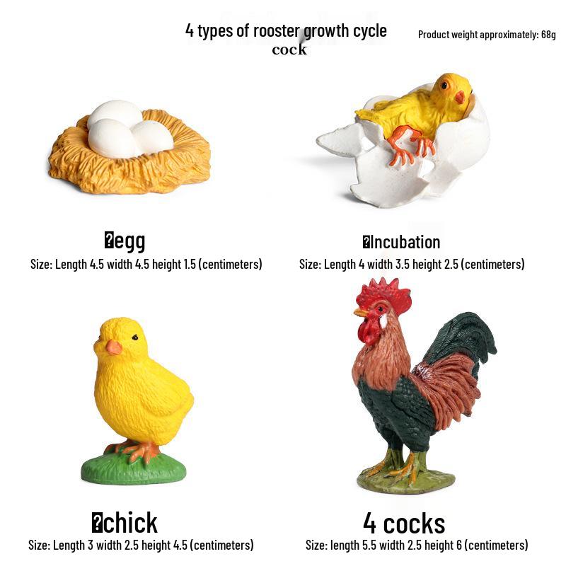 Mini Animal Growth Cycle Toys: Butterfly, Rooster, Ant, Frog, Sea Turtle, Dragonfly