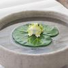 Naturinspirierte Verzierung Frosch auf schwimmendem Lotosblatt Figur, Lustige Harzfigur für Außenbereich Wasserspiel für Zuhause, Feengarten, Teich, Pool, Fische
