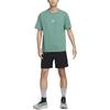 New Nike Acg Lungs T Shirt DQ1816-361