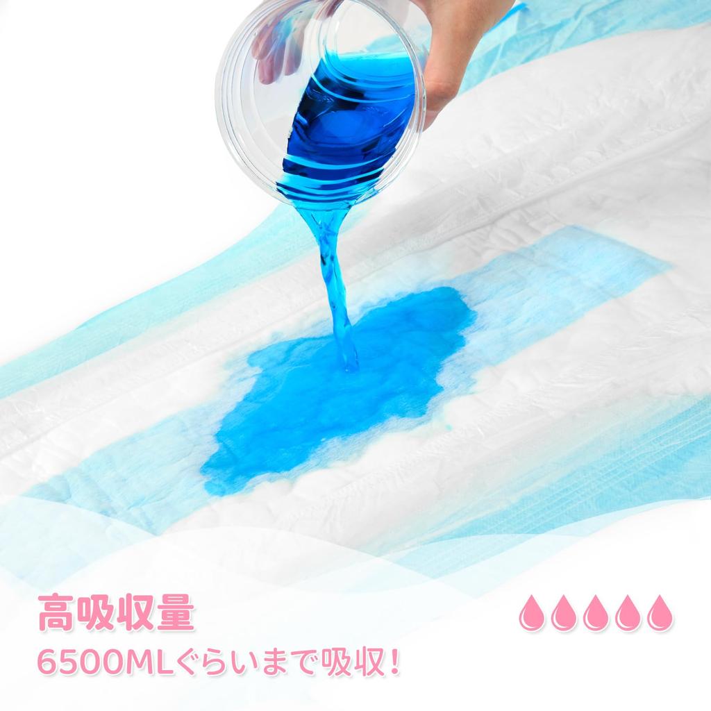 LittleForBig Adult Diapers Pant Style [Plain] Thick High Absorbency Diaper Pants Tape Style 2-Pack Blue L