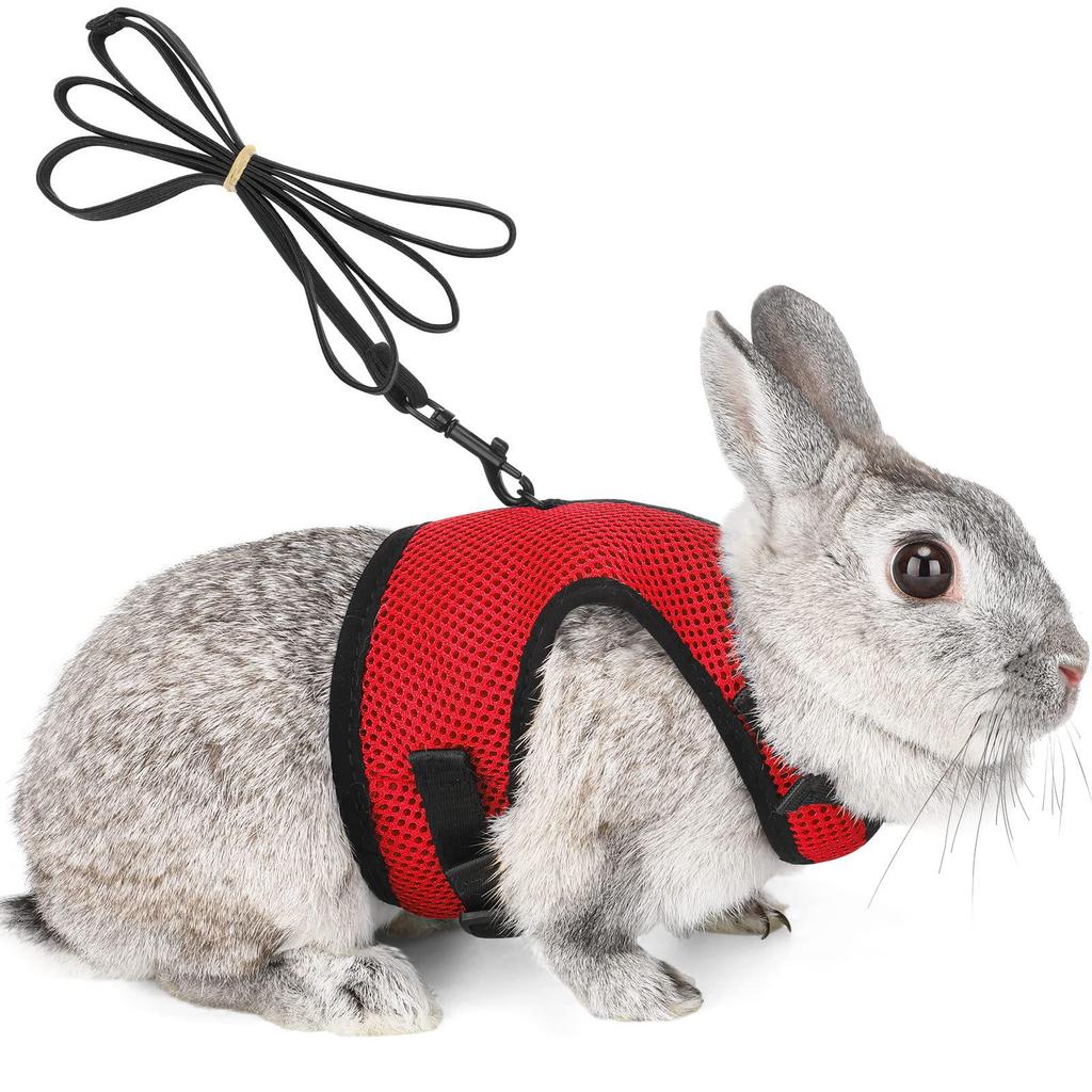 Breathable Mesh Rabbit & Small Dog Chest Harness with Leash