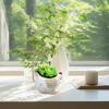 Flower Pots For Plants Resin Chicken Flower Pots With Drainage Hole For Table Decorative Plant Planter For Desk Bedroom
