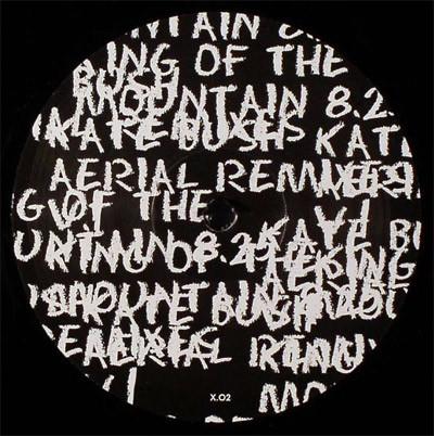 

12inch Record KATE BUSH King Of The Mountain Radio Slave R X02 Not On Label 2006 UK Dance Electronica Used
