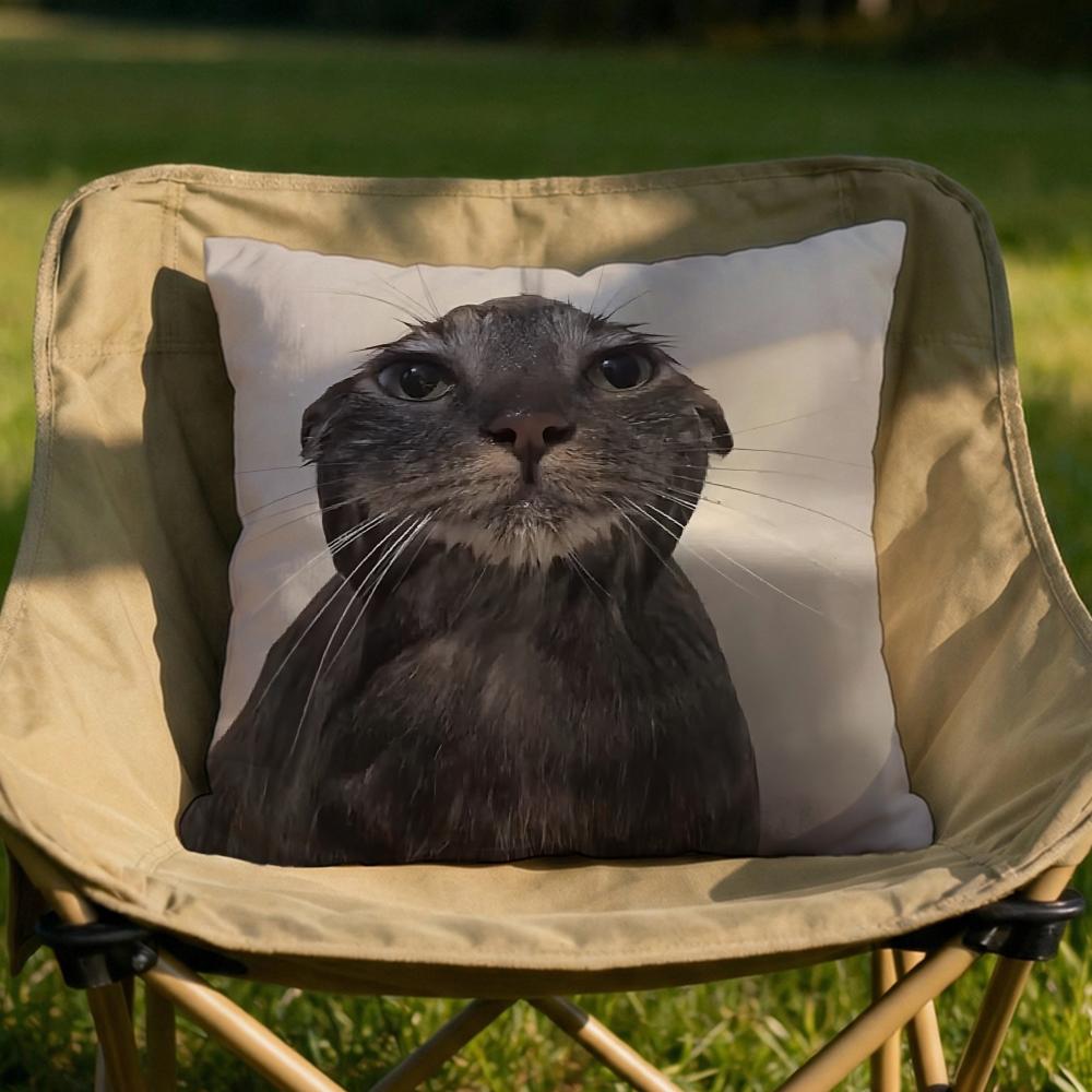 Pet Cat Funny memes Cushion Cover Soft Reversible Durable Pillow Cover MultiScene Use for Home Car Daily Comfort