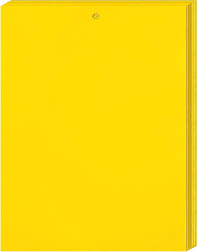 Double-Sided Yellow & Blue Sticky Trap for Flying Insects - Thrips, Flowers, and Plants Essential